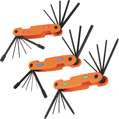 Jeu pliant de cl&eacute;s hexagonales Pro, 31 mcx, M&eacute;trique & imp&eacute;rial/Torx The Estey Group