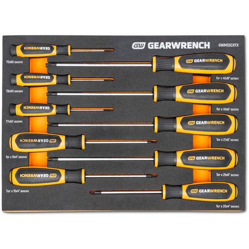 Jeu de tournevis bimat&eacute;riau Torx dans un plateau de rangement en mousse, 10 mcx The Estey Group
