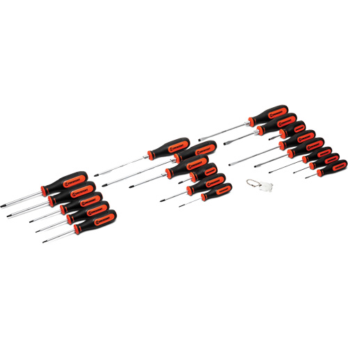 Jeu de tournevis &agrave; double mat&eacute;riaux, 20 mcx. The Estey Group