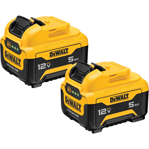 Max* Battery Packs, Lithium-Ion, 12 V, 5 Ah The Estey Group