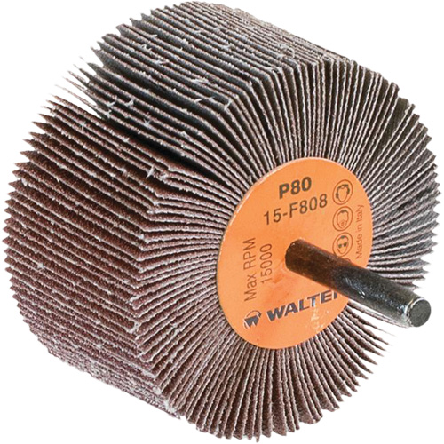 Disques &agrave; lamelles - Meules &agrave; lamelles Coolcut, Oxyde d'aluminium, Grain 80, 3" x 1-1/2" x 1/4" The Estey Group