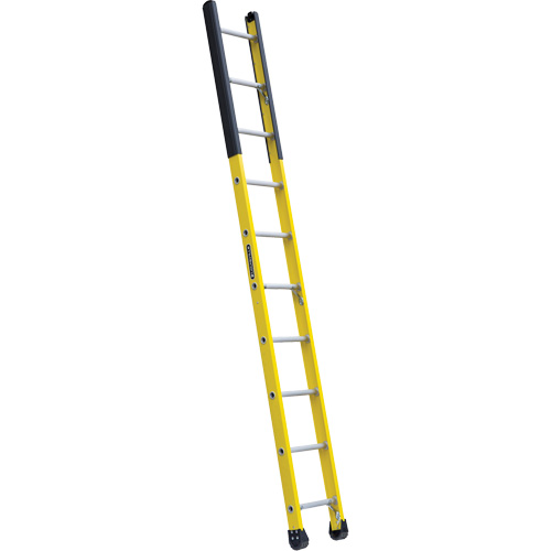 &eacute;chelle &eacute;troite pour trou d'homme, 10', Fibre de verre, 375 lb, CSA calibre 1AA The Estey Group
