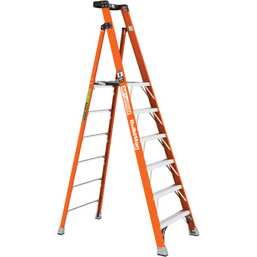 Escabeau avec plateforme Safespace, 6', Cap. De 300 lb The Estey Group