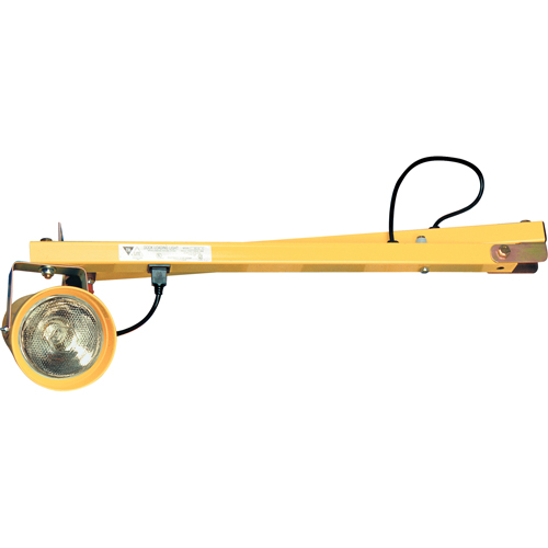 Lampes pour les quais, Bras 40", Ampoule Incandescente, Polycarbonate The Estey Group