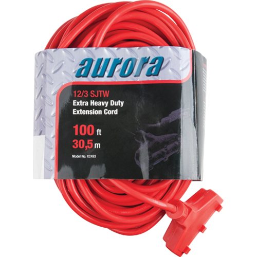 Cordon rallonge en vinyle, Ext&eacute;rieur, SJTW, AWG 12/3, 15 A, 3 prise(s), 100' The Estey Group