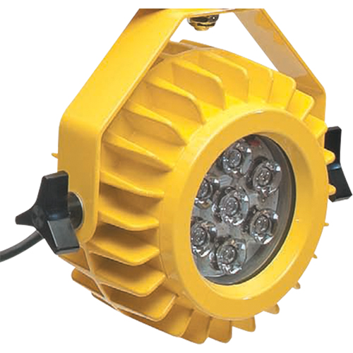 Heavy-Duty LED Dock Light - Head Only The Estey Group
