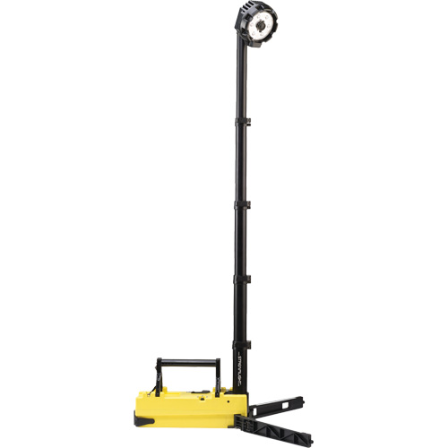 Lampes de sc&egrave;ne portables et rechargeables, DEL, 36 W, 5300 lumens, Boîtier en Plastique The Estey Group