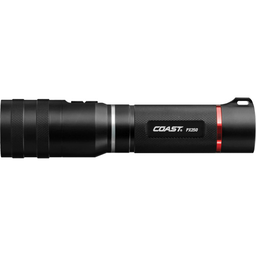 Lampe de poche et de zone PX250, DEL, Piles AAA, Aluminium The Estey Group