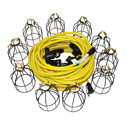 LED Stringlights, 10 Lights, 100' L, Metal Housing The Estey Group