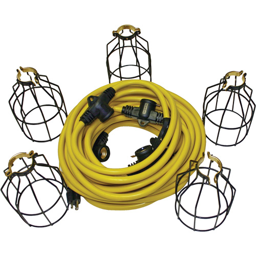 Guirlande &eacute;lectrique &agrave; DEL avec connecteur, 5 Lumi&egrave;res, 50' lo, Boîtier en M&eacute;tal The Estey Group