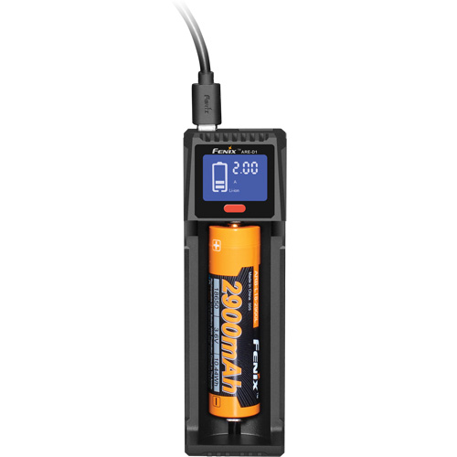 Chargeur de batterie intelligent &agrave; canal unique ARE-D1 The Estey Group