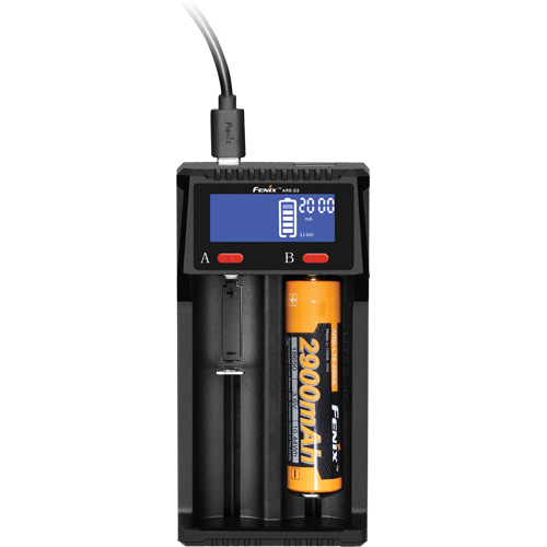 Chargeur de batterie intelligent &agrave; double canal ARE-D2 The Estey Group