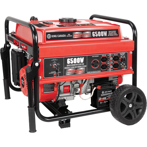 G&eacute;n&eacute;ratrice &agrave; essence &agrave; d&eacute;marrage &eacute;lectrique avec ensemble de roues, 6500 W de surtension, 5000 W nominale, 120 V/240 V, R&eacute;servoir de 20 L The Estey Group