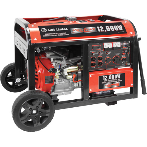 Electric Start Gas Generator with Wheel Kit, 12000 W Surge, 9000 W Rated, 120 V/240 V, 31 L Tank The Estey Group