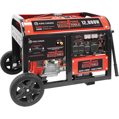 Gasoline/Propane Generator with Electric Start The Estey Group
