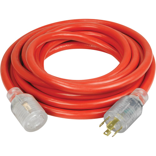 Rallonge pour g&eacute;n&eacute;ratrice &agrave; quatre prises, Ext&eacute;rieur, AWG 10, 30 A, 4 prise(s), 25' The Estey Group