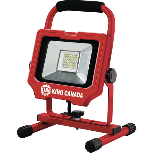 Baladeuse, DEL, 20 W, 3000 lumens, Boîtier en Aluminium The Estey Group