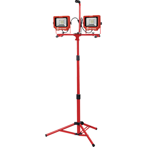 Baladeuses jumel&eacute;es avec tr&eacute;pied, DEL, 40 W, 6000 lumens, Boîtier en Aluminium The Estey Group
