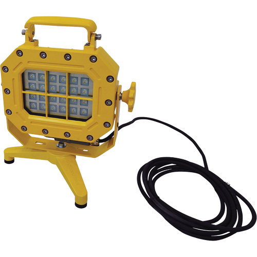 Explosion Proof Floodlight with Stand, LED, 40 W, 5600 Lumens, Aluminum Housing The Estey Group