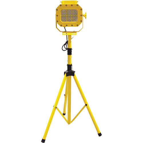 Explosion Proof Floodlight with Tripod, LED, 40 W, 5600 Lumens, Aluminum Housing The Estey Group