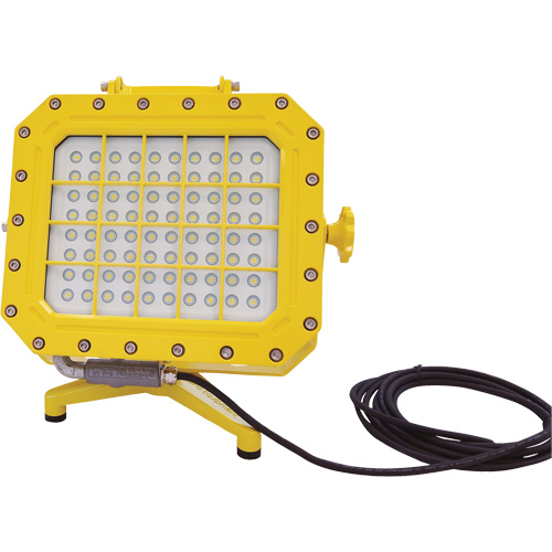 Explosion Proof Floodlight with Floor Stand, LED, 40 W, 5600 Lumens, Aluminum Housing The Estey Group