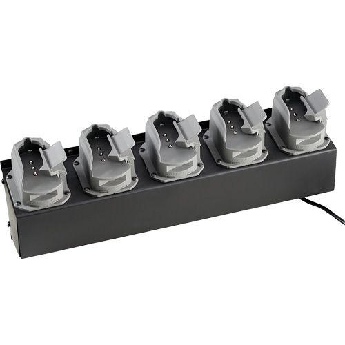Chargeur de batteries de lampe de poche Survivor X The Estey Group