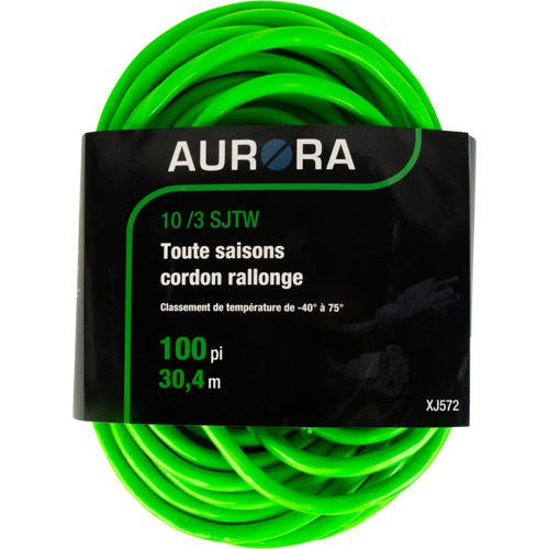 Cordon rallonge de calibre industriel, Toutes saisons, SJTW, AWG 10/3, 15 A, 100' The Estey Group