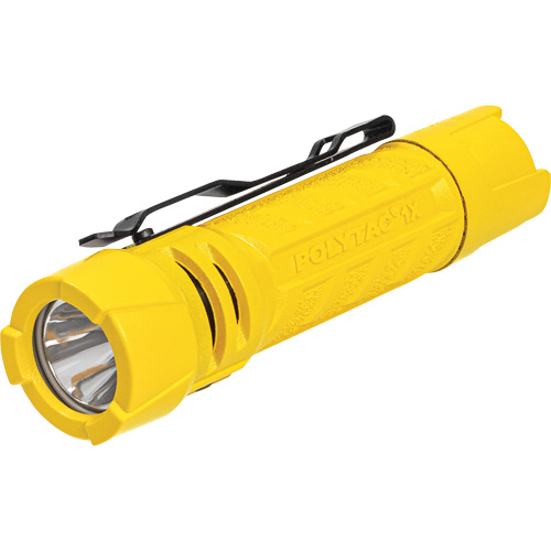 Lampe de poche PolyTac 1X, DEL, 350 lumens, Piles AA/CR123A The Estey Group