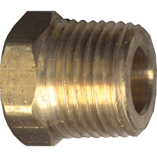Hex Head Cored Plug, Pipe, 1/8" Dia., Brass The Estey Group