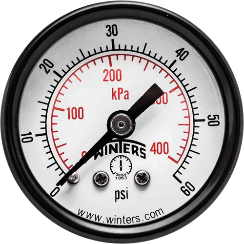 Economy Pressure Gauge, 1-1/2" , 0 - 60 psi, Back Mount, Analogue The Estey Group