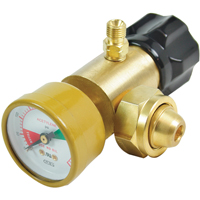 CGA200 Regulator The Estey Group