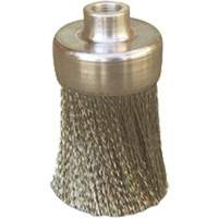 Brosses plates, rondes ou Roto The Estey Group