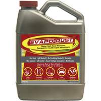 Agent antirouille super s&eacute;curitaire Evapo-Rust, Cruche The Estey Group