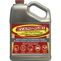 Agent antirouille super s&eacute;curitaire Evapo-Rust, Cruche The Estey Group