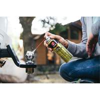 3-in-One&reg; Trailer Hitch Gel Lube, Aerosol Can The Estey Group