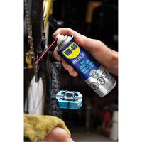 Bike Chain Lubricant, Aerosol Can The Estey Group