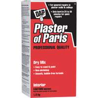 Plaster of Paris Dry Mix, 2 kg, Box The Estey Group