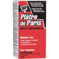 Plaster of Paris Dry Mix, 2 kg, Box The Estey Group