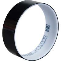 Ruban en polyester, Polyester, 25,4 mm (1") la x 66 m (216') lo, 1,9 mils &eacute;pais The Estey Group