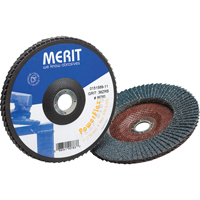 Disques à lamelles