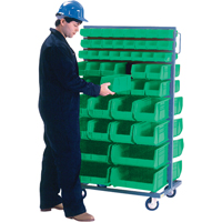 Double-Sided Mobile Bin Rack, Double-sided, 96 bins, 36" W x 24" D x 63" H The Estey Group