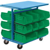 Bin Cart with Bins, Double-sided, 20 bins, 24" W x 38-1/2" D x 36-1/2" H The Estey Group