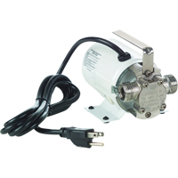 Non-Submersible, Self-Priming Plated Brass Transfer Pumps - Pump Only, 115 V, 360 GPH, 1/10 HP The Estey Group