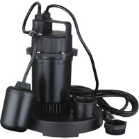 Thermoplastic Submersible Sump Pump, 2560 GPH, 115 V, 4.6 A, 1/3 HP The Estey Group