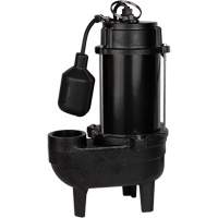 Cast Iron Sewage Pump, 120 V, 9.5 A, 6000 GPH, 1/2 HP The Estey Group
