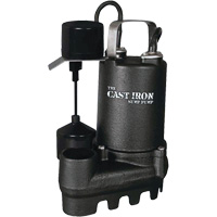 Pompe de puisard submersible en fonte avec interrupteur &agrave; flotteur vertical, 67 gal./min, 33 V, 5 A, 1/3 CV The Estey Group