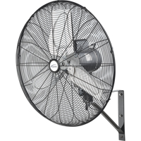 Ventilateur mural oscillant, Industriel, 2 vitesses, Diam&egrave;tre de 24" The Estey Group