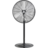 Oscillating Pedestal Fan, Heavy-Duty, 2 Speed, 30" Diameter The Estey Group