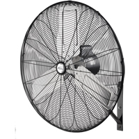Non-Oscillating Wall Fan, Industrial, 2 Speed, 30" Diameter The Estey Group