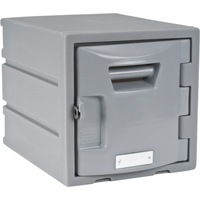 Locker, 12" x 15" x 12", Grey, Assembled The Estey Group
